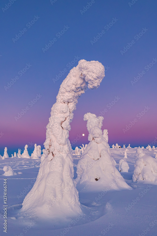 snow covered trees