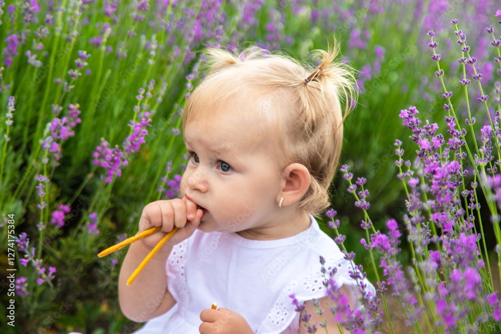 Little girl in a lavender field and touching the flowers with her hand.