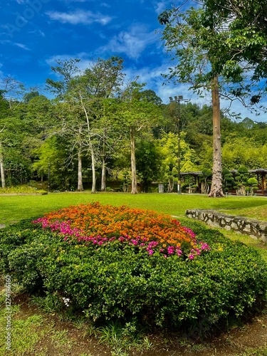 A flower garden landscape plant features vibrant, colorful blooms arranged in aesthetically pleasing patterns, enhancing outdoor spaces.