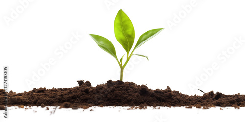 A small plant sprout growing from the ground on a transparent background. Generative ai