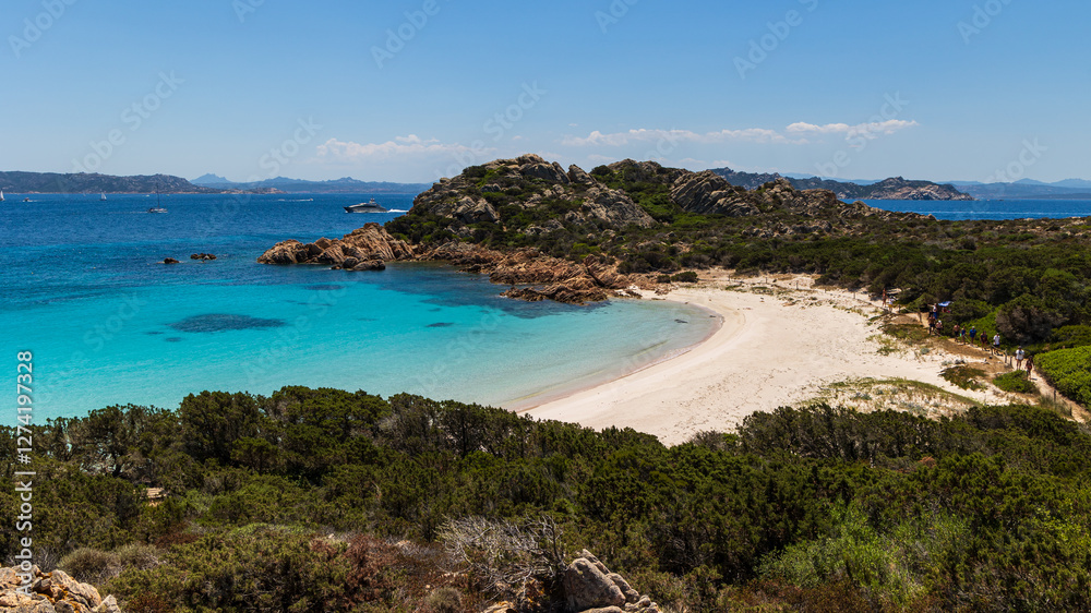 Obraz premium spiaggia Rosa a Budelli, arcipelago della Maddalena, Sardegna