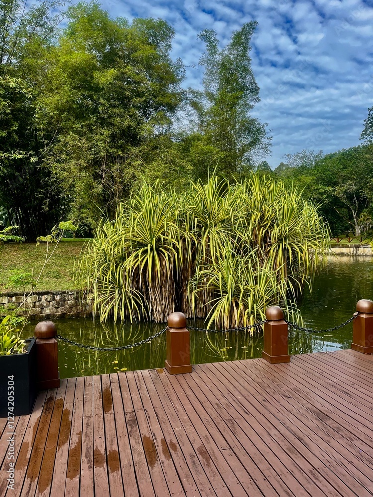 Fototapeta premium Pandanus tectorius, also known as the screw pine, growing near or in lake water, adding a tropical touch to the serene environment.