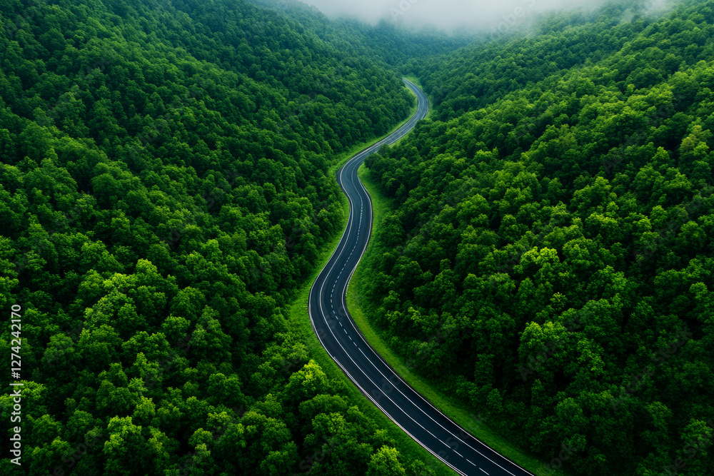 Fototapeta premium Winding asphalt highway through lush green forests scenic viewpoint nature photography tranquil environment capturing serene landscapes