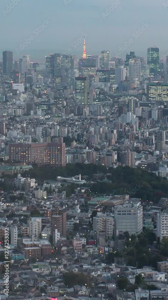 TOKYO, JAPAN : Aerial high angle view of cityscape of Tokyo at night. View of buildings around Shinjuku and Minato ward. Japanese city life, business and urban metropolis concept vertical video. TOKYO, JAPAN : Aerial high angle view of cityscape of Tokyo at night. View of buildings around Shinjuku and Minato ward. Japanese city life, business and urban metropolis concept vertical video.