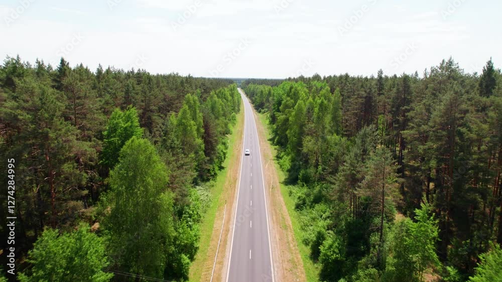 Scenic drive through lush green forests showcasing a long road in summer sunlight Scenic drive through lush green forests showcasing a long road in summer sunlight