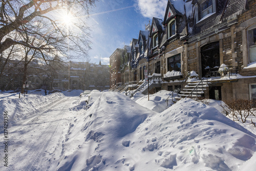 Winter storm in Le Plateau-Mont-Royal , Montreal, Canada