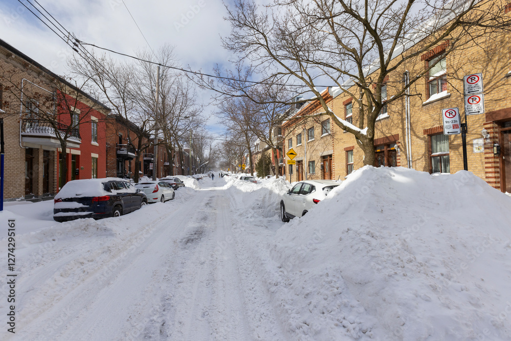 Obraz premium Winter storm in Le Plateau-Mont-Royal , Montreal, Canada