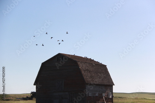 Tableau sur toile Saskatchewan Scenery Travelling Backroads