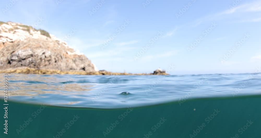 The Reefs of the Sea of Cortez: A Vibrant Underwater World The Reefs of the Sea of Cortez: A Vibrant Underwater World