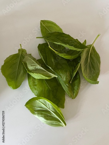 basil leaves