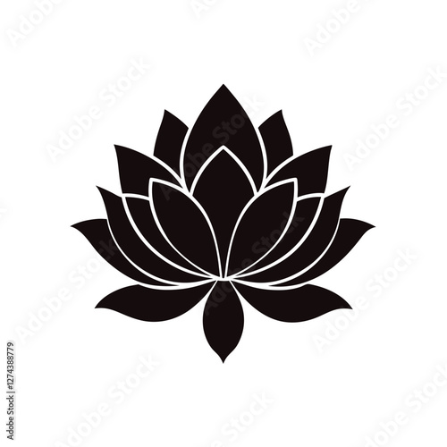 lotus flower vector  illustration