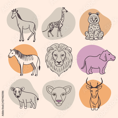 Animales de la jungla
