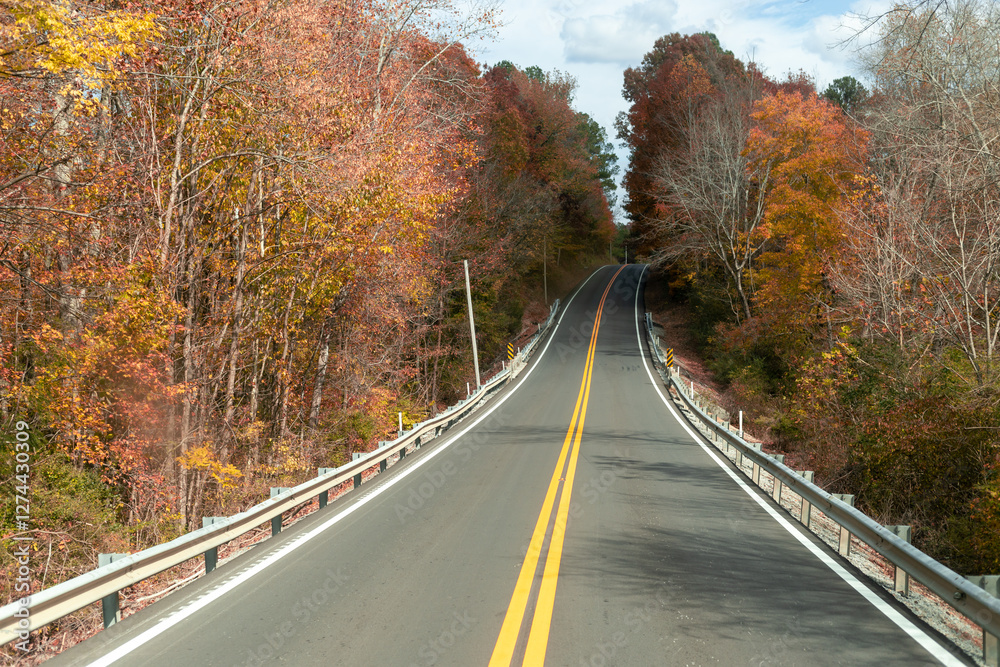 Obraz premium Road lined with trees leading to a distant bridge, creating a serene and picturesque scene.