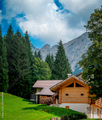 Fotografie Wooden house surrounded by trees and a green meadow, background of the Dolomite mountains
