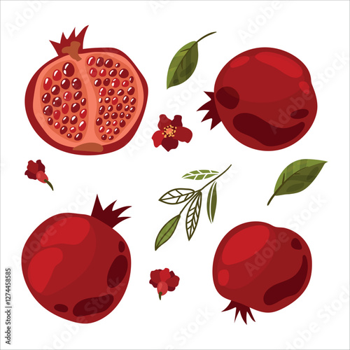 Superfood fruit. Set of pomegranate fruits. Fruits. Juice. Vector illustration cartoon