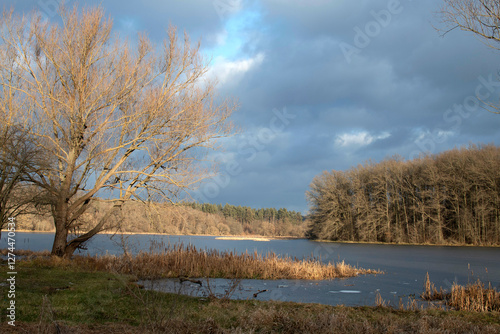 Wallpaper Mural A tree on the river bank	 Torontodigital.ca