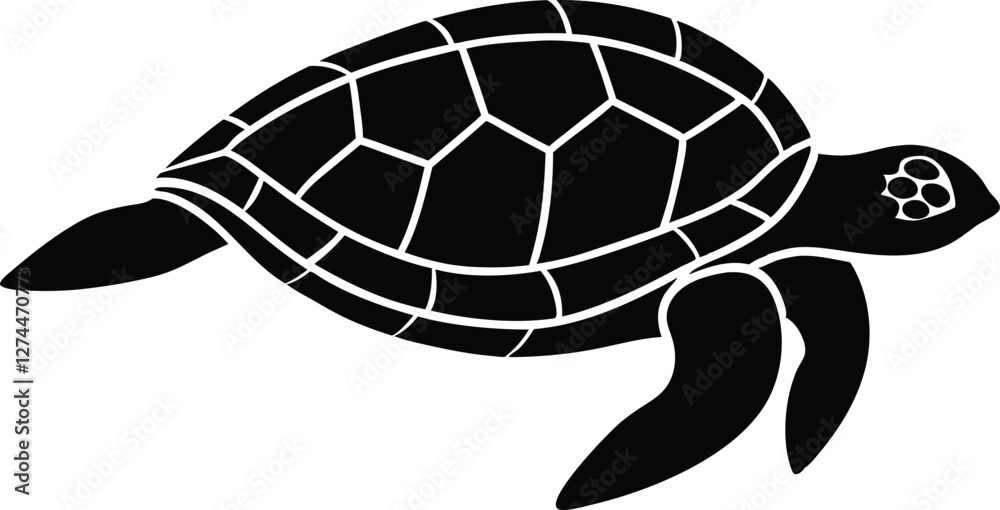 Turtle vector illustration. Sea life. Isolated on white background. Turtle vector illustration. Sea life. Isolated on white background.