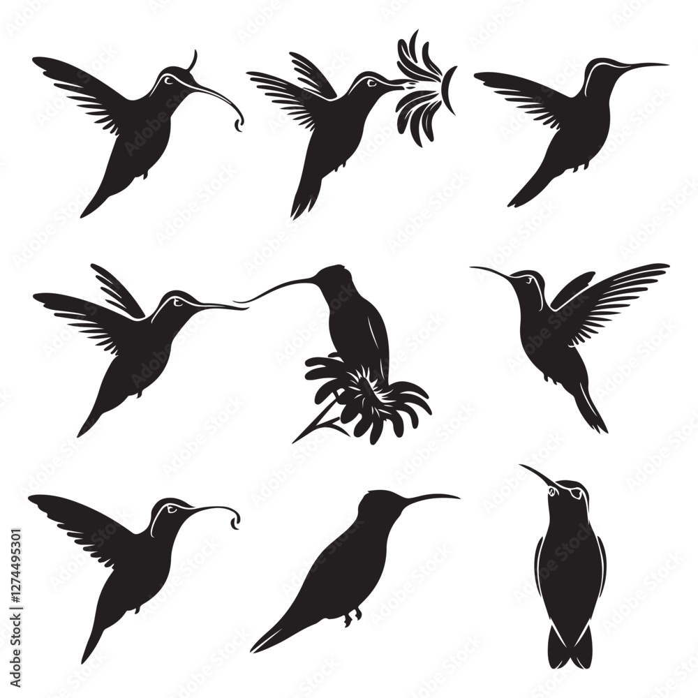 Obraz premium Silhouettes of wild birds in flight Raven Silhouette Pigeons Flying Silhouettes 6 Silhouettes – Birds