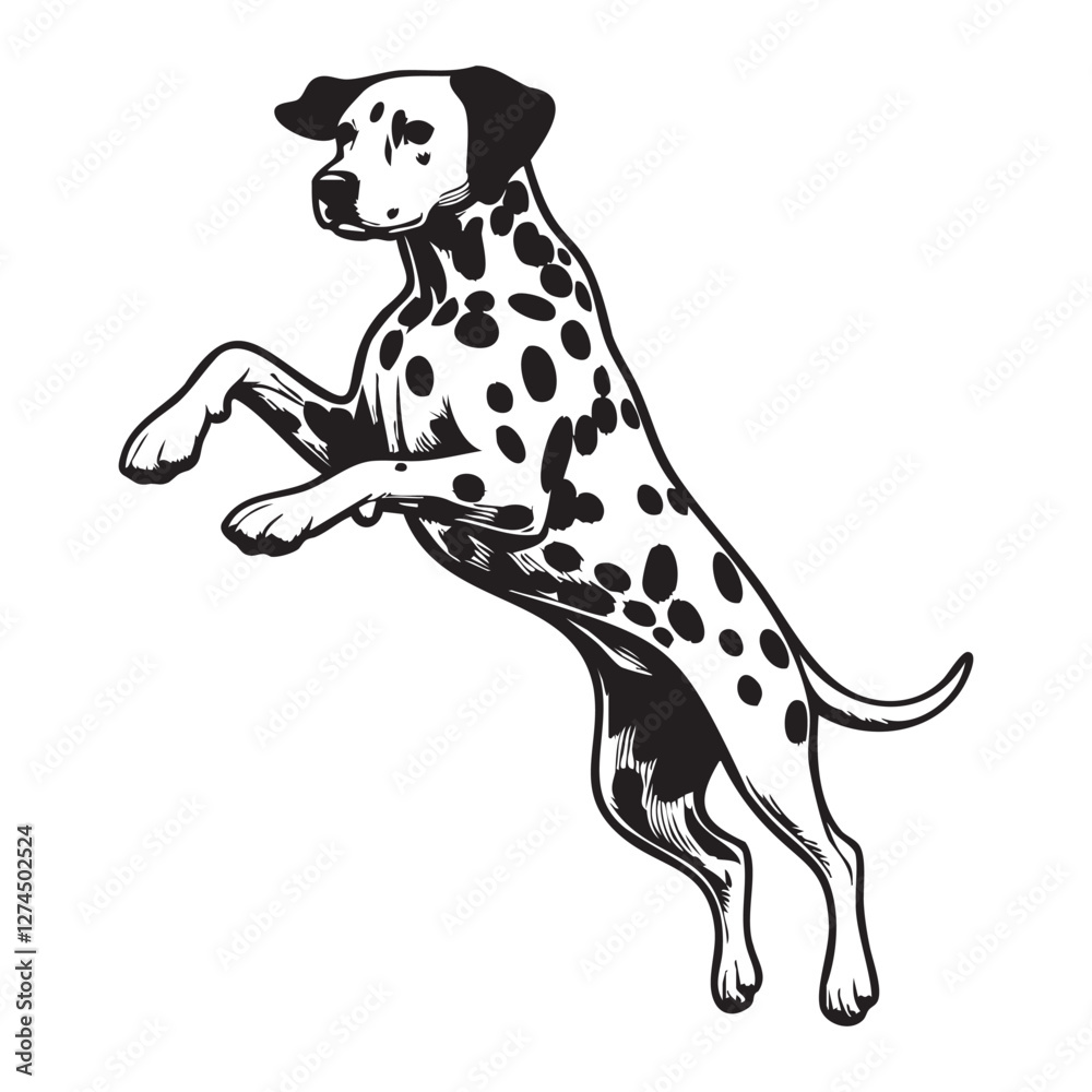 Hand Drawn Dalmatian Puppy Line Art Illustration in Ink Cute and simple Dalmatian Dog illustrations set 
