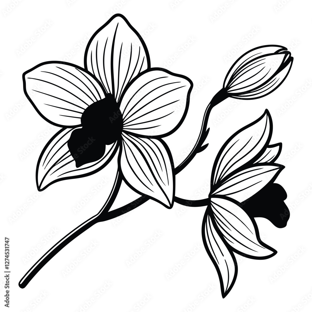 Obraz premium Timeless Orchid: A Monochrome Botanical Masterpiece