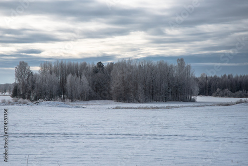 A snowy winter landscape with frost-covered trees and a cloudy sky. A serene rural scene with a frozen field and a small wooded area in the background.