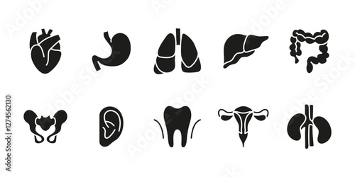 Human organs icon set. Anatomy and medical symbol. Healthcare body vector illustration. Internal system and biology pictogram. Heart, lungs, liver, kidneys, stomach and intestine concept.