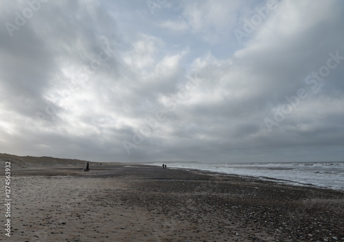 Obraz na płótnie Winter at the North Sea, Scandinavia. Nordjylland (North Jutland Region), Denmark w salonie