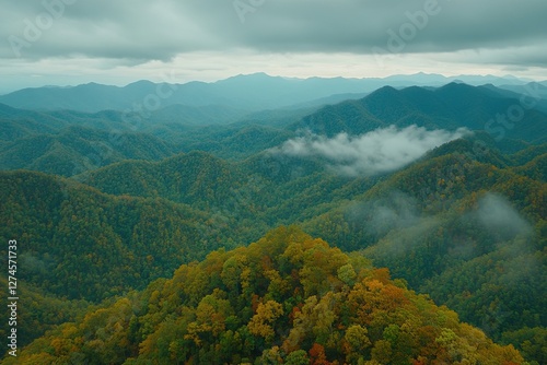 As the morning mist rises over Mae Ngad Dam, the deciduous forest on Moai Mountain gradually changes its colors, creating a stunning vista from Doi Pha Daeng, Phrao District, Chiang Mai, THAILAND photo