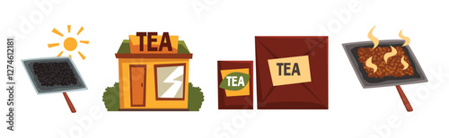 Tea Production and Process with Growing and Distribution Vector Set