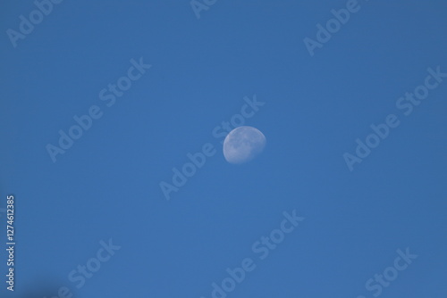 Wallpaper Mural la lune dans un ciel bleu Torontodigital.ca