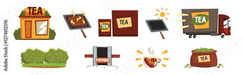Tea Production and Process with Growing and Distribution Vector Set