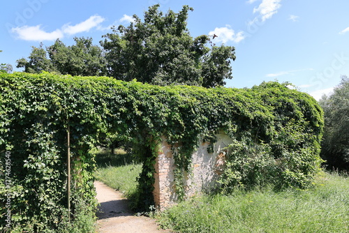 Kleiner Park an der Eremitage in Waghäusel photo