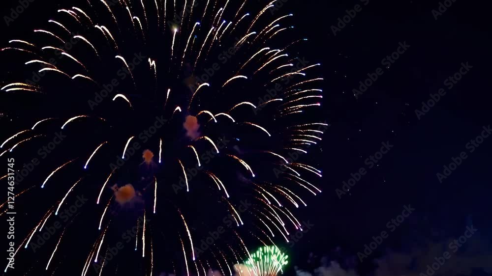Fireworks Display Scene in Night Sky with Vibrant Colors