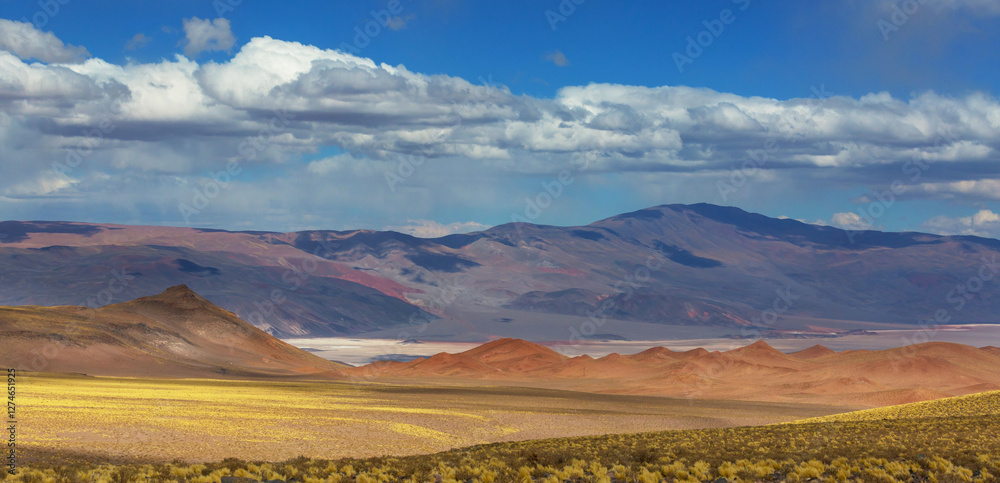 Fototapeta premium Northern Argentina
