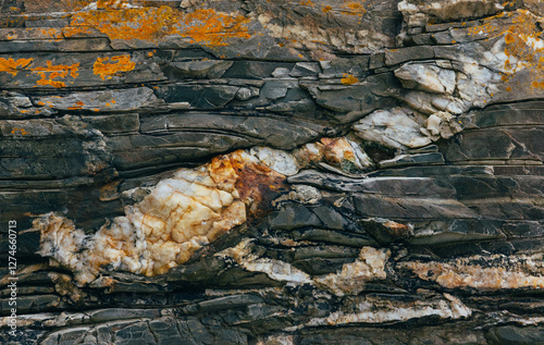 Close-up of a weathered rock with colorful minerals and fine cracks