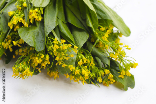 Chinese flowering cabbage, fresh vegetables photo