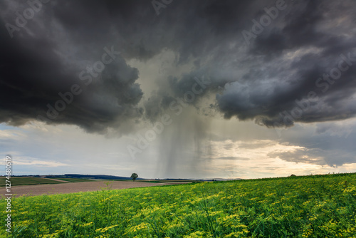 Fototapeta Naklejka Na Ścianę i Meble -  A dark storm cloud and rain over green rural fields.