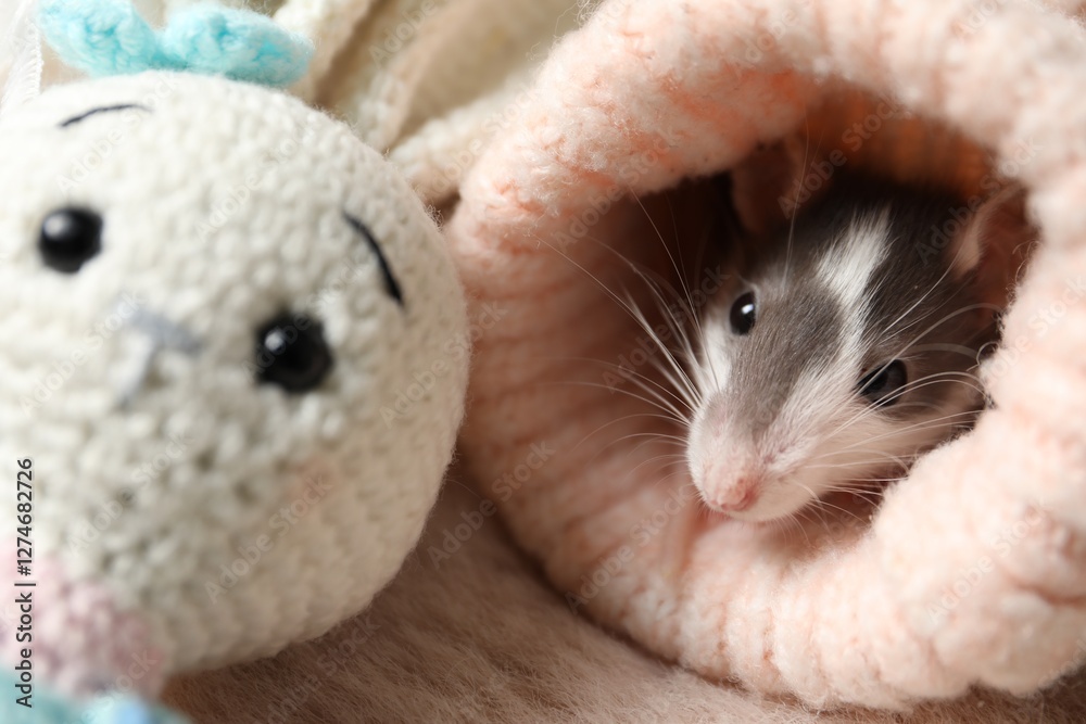 Adorable little rat in sweater and crocheted bunny on faux fur, closeup Adorable little rat in sweater and crocheted bunny on faux fur, closeup