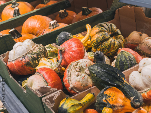 Obraz na płótnie Pumpkin harvest on the shelf in a grocery supermarket. Harvest used for Halloween w salonie