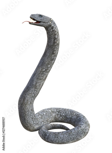 A giant snake with rock texture scales, raising its head from a single coil. 3D illustration on transparent background. 