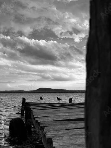 Couple of birds resting at the end of the pier at sunset