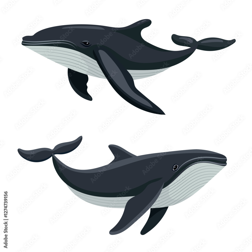 Naklejka premium Cute whale. Vector clipart illustration on isolated background.