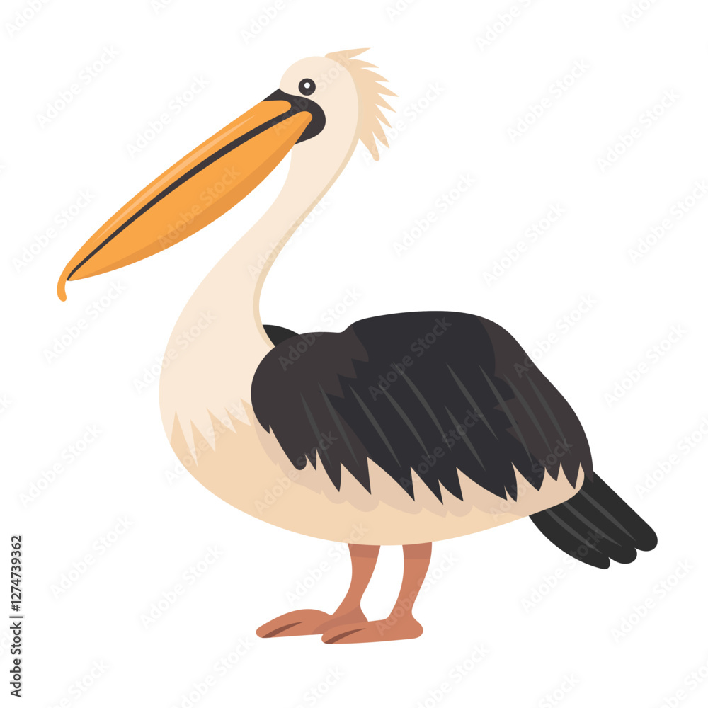 Obraz premium Pelican bird. Vector clipart illustration on isolated background.
