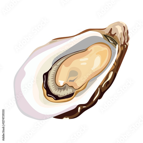 Oyster food. Vector clipart illustration on isolated background.