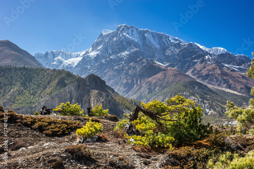 Annapurna III, view from the route between Humde and Manang villages. Annapurna circuit, Nepal. photo