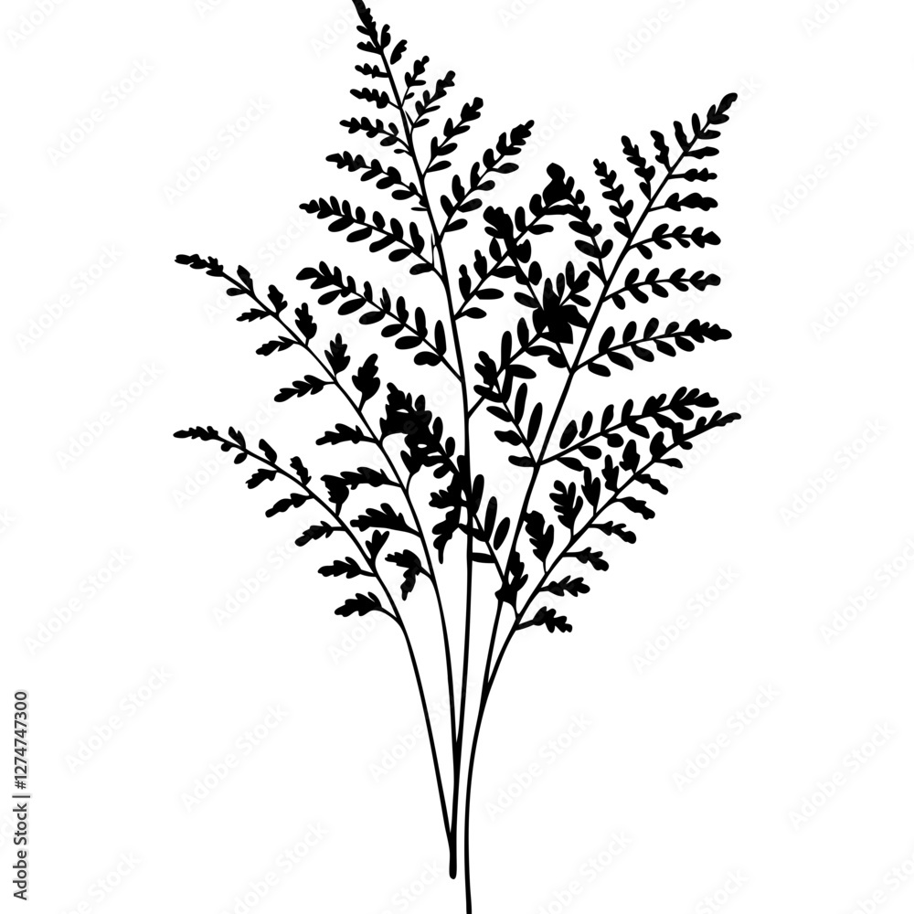 Fototapeta premium silhouette of a plant