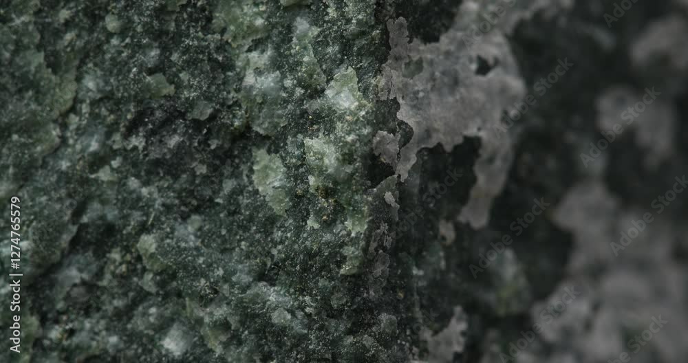 Close-Up of a Rough Green Rock Surface with Mineral Deposits Close-Up of a Rough Green Rock Surface with Mineral Deposits