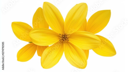 Bright yellow flower isolated on a clean white backdrop, perfect for adding a touch of natures beauty to any design.