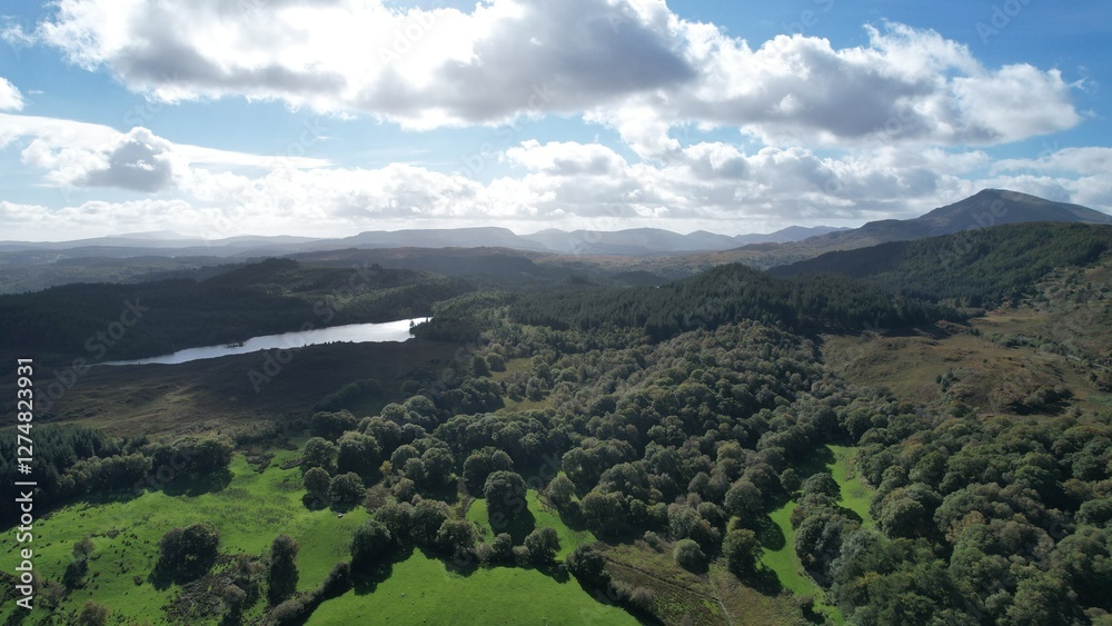 Obraz premium Llyn Geirionydd lies in a valley in North Wales where the northern edge of the Gwydyr Forest meets the lower slopes of the Carneddau mountains. The lake is almost a mile long.