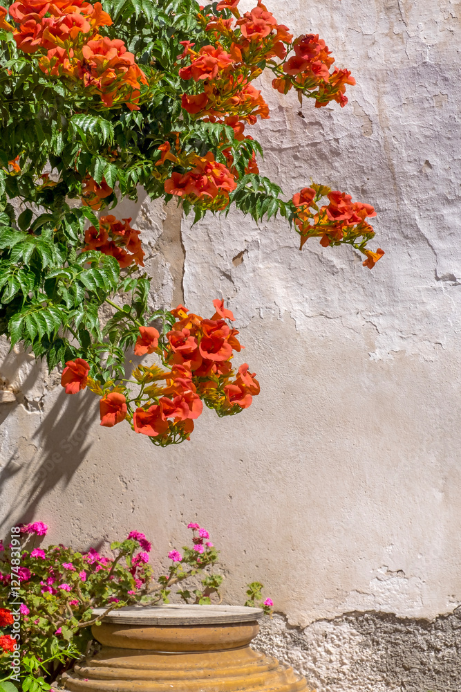 Naklejka premium Klettertrompete